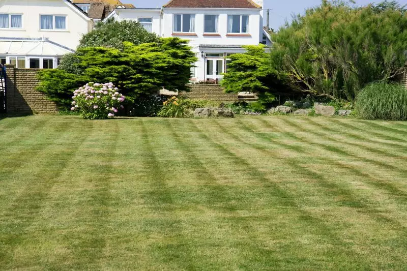 Jak zadbać o trawnik w ogrodzie?